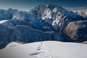 情绪爆发!无畏契约选手为何屡屡上演“真人秀”