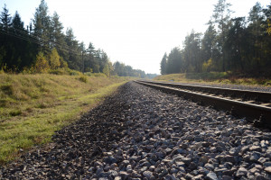 心跳加速！排球联赛赛程公布，这才是夏天该有的样子！