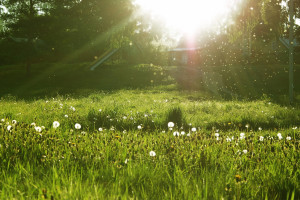 C罗欧冠五连斩，尤文图斯绝境逢生，老妇人能否重塑辉煌