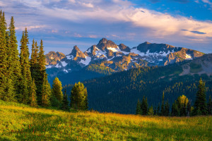 北美电竞历史性时刻！观众人数再创新高，直播平台乐开花！